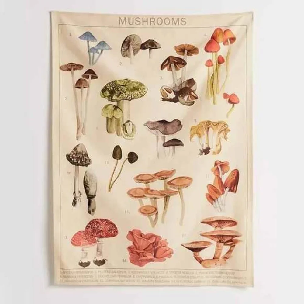 Mushroom Varieties Chart Tapestry Wall Decor